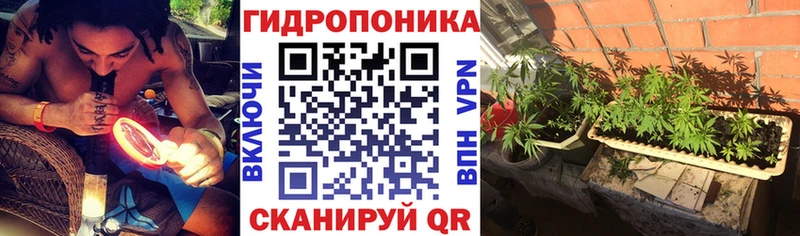 купить наркотики цена кракен зеркало Бошки марихуана тримм Заволжье